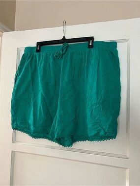 Ivy City Co shorts, 1X